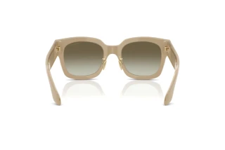 Rückansicht Giorgio Armani AR8223 (61618E)