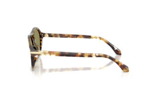 Seitenansicht Giorgio Armani AR8236U (623214)