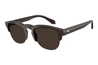 Giorgio Armani AR 8238 622073