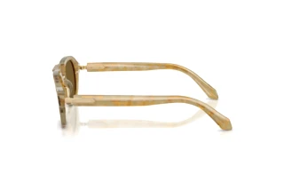 Seitenansicht Giorgio Armani AR8244 (630073)