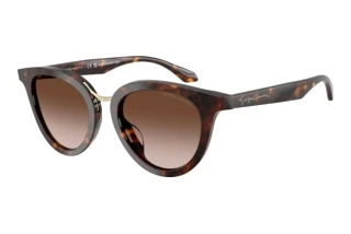 Vorderansicht Giorgio Armani AR8252U (612413)