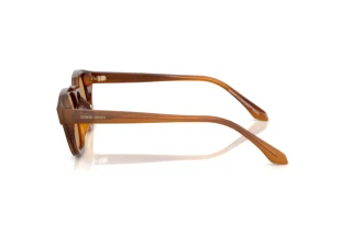 Seitenansicht Giorgio Armani AR8254U (616373)