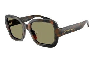 Vorderansicht Giorgio Armani AR8268U (64782A)