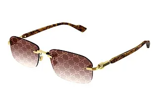 Vorderansicht Gucci GG1221S (004)