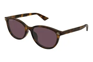 Gucci GG1818SK 002 HAVANA