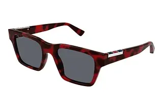 Gucci GG1889S 003 HAVANA