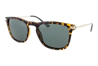 HIS Eyewear HP78108 3 green POLdemi brown