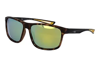 HIS Eyewear HPS27107 001 havanna