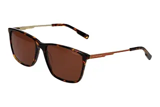 Hackett HSB3349 101P Braun