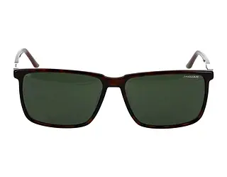 Seitenansicht Jaguar 37123 (8940)