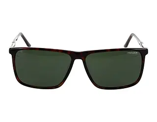 Seitenansicht Jaguar 37124 (8940)