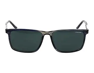 Seitenansicht Jaguar 37125 (5223)