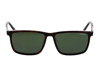 Seitenansicht Jaguar 37125 (8940)