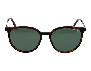 Seitenansicht Jaguar 37262 (4982)