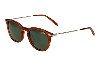 Vorderansicht Jaguar 37281 (5201)