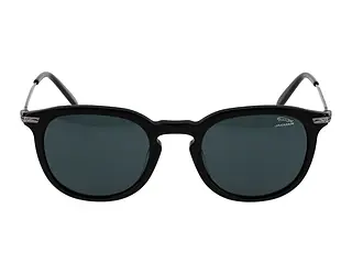 Seitenansicht Jaguar 37281 (8840)