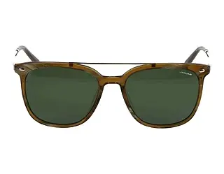 Seitenansicht Jaguar 37283 (5286)