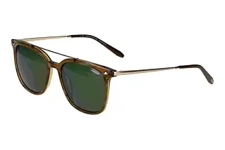 Vorderansicht Jaguar 37283 (5286)