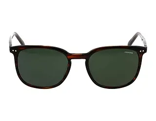 Seitenansicht Jaguar 37284 (4801)