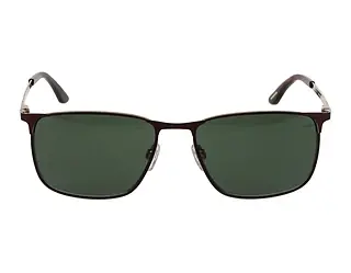 Seitenansicht Jaguar 37369 (2100)