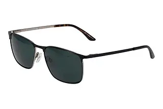 Vorderansicht Jaguar 37369 (3100)