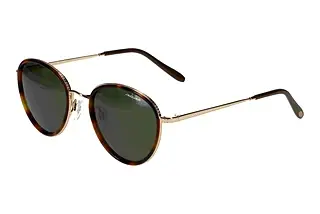Vorderansicht Jaguar 37467 (4982)