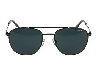 Seitenansicht Jaguar 37468 (4200)