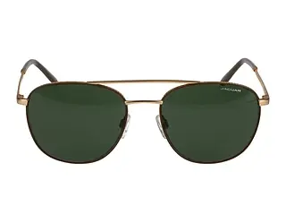 Seitenansicht Jaguar 37468 (5100)