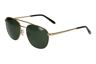 Vorderansicht Jaguar 37468 (5100)
