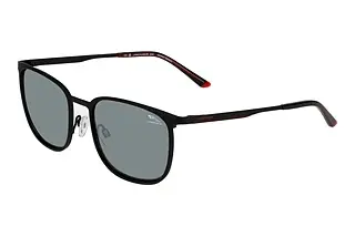 Vorderansicht Jaguar 37505 (6100)
