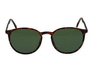 Seitenansicht Jaguar 37613 (8940)