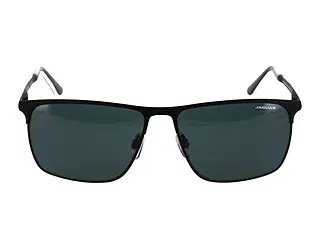 Seitenansicht Jaguar 37822 (6100)