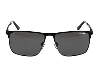 Seitenansicht Jaguar 37822 (6500)
