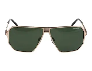 Seitenansicht Jaguar 37824 (8200)