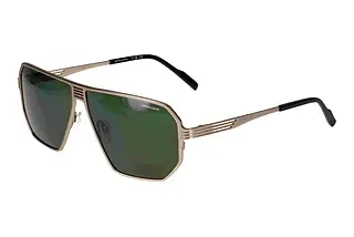 Vorderansicht Jaguar 37824 (8200)