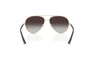 Rückansicht Jimmy Choo JC4026 (30068G)