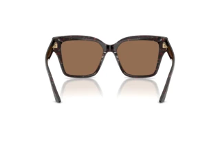 Rückansicht Jimmy Choo JC5003 (512573)