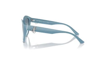 Seitenansicht Jimmy Choo JC5007 (501219)