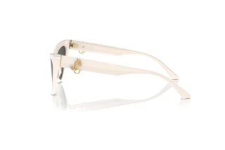 Seitenansicht Jimmy Choo JC5008 (500887)