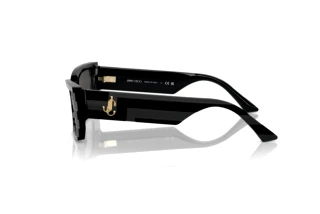 Seitenansicht Jimmy Choo JC5009 (500087)