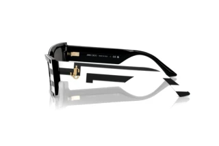 Seitenansicht Jimmy Choo JC5009 (502987)