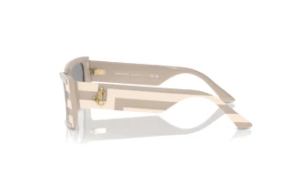 Seitenansicht Jimmy Choo JC5009 (5030/1)