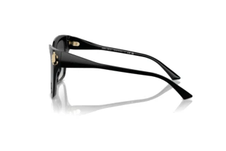 Seitenansicht Jimmy Choo JC5012 (50008G)