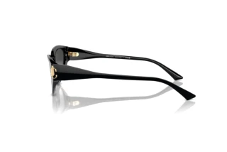 Seitenansicht Jimmy Choo JC5019 (50008G)