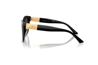 Seitenansicht Jimmy Choo JC5031 (50008G)