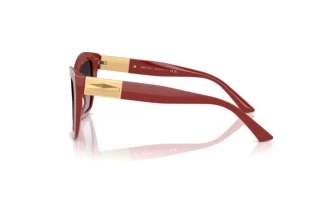 Seitenansicht Jimmy Choo JC5031 (50138G)