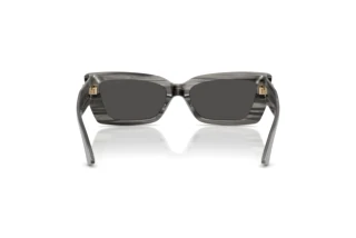 Rückansicht Jimmy Choo JC5037BU (506387)