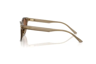 Seitenansicht Jimmy Choo JC5043D (505173)