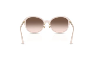 Rückansicht Jimmy Choo JC5044D (50253B)