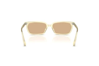 Rückansicht Jimmy Choo JC5050U (5083/8)